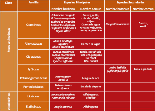 Botánica y ciclo vegetativo II