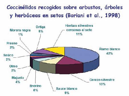 Gestión de la Diversidad (I)