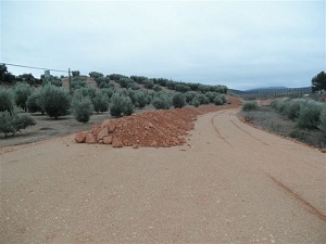 Primeras movilizaciones convocadas por Asaja-Granadade los afectados por las obras inacabadas de la A-323