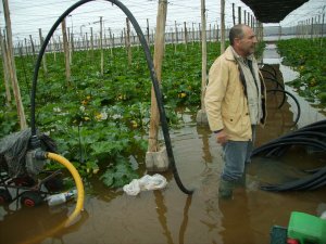 Asaja espera el apoyo incondicional de la Junta al seguro agrario