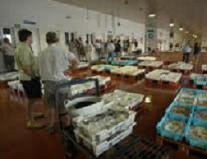 Almería incrementa un 45,5% el valor de sus exportaciones de pescado entre enero y julio pasados