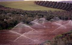 El Gobierno destina 7,5 millones de euros a Andalucía para programas de agricultura, ganadería, alimentación y pesca