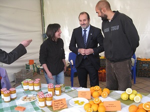 Almería exportó entre enero y febrero 12 millones de kilos de cítricos,  un 26,5% más que en 2012