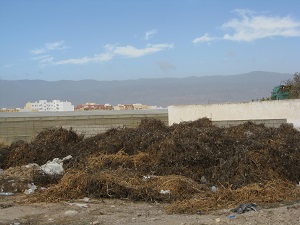 Los agricultores de Almería cumplen con la Ley de Sanidad Vegetal