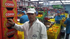 El cooperativismo alimentario, estratégico para el Gobierno