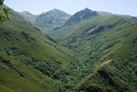 La ministra afirma que el desarrollo rural futuro tendrá mucho que ver con los bosques