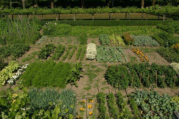 El nuevo Plan Andaluz de la Producción Ecológica de la Junta ha puesto a disposición del sector más de 255 millones