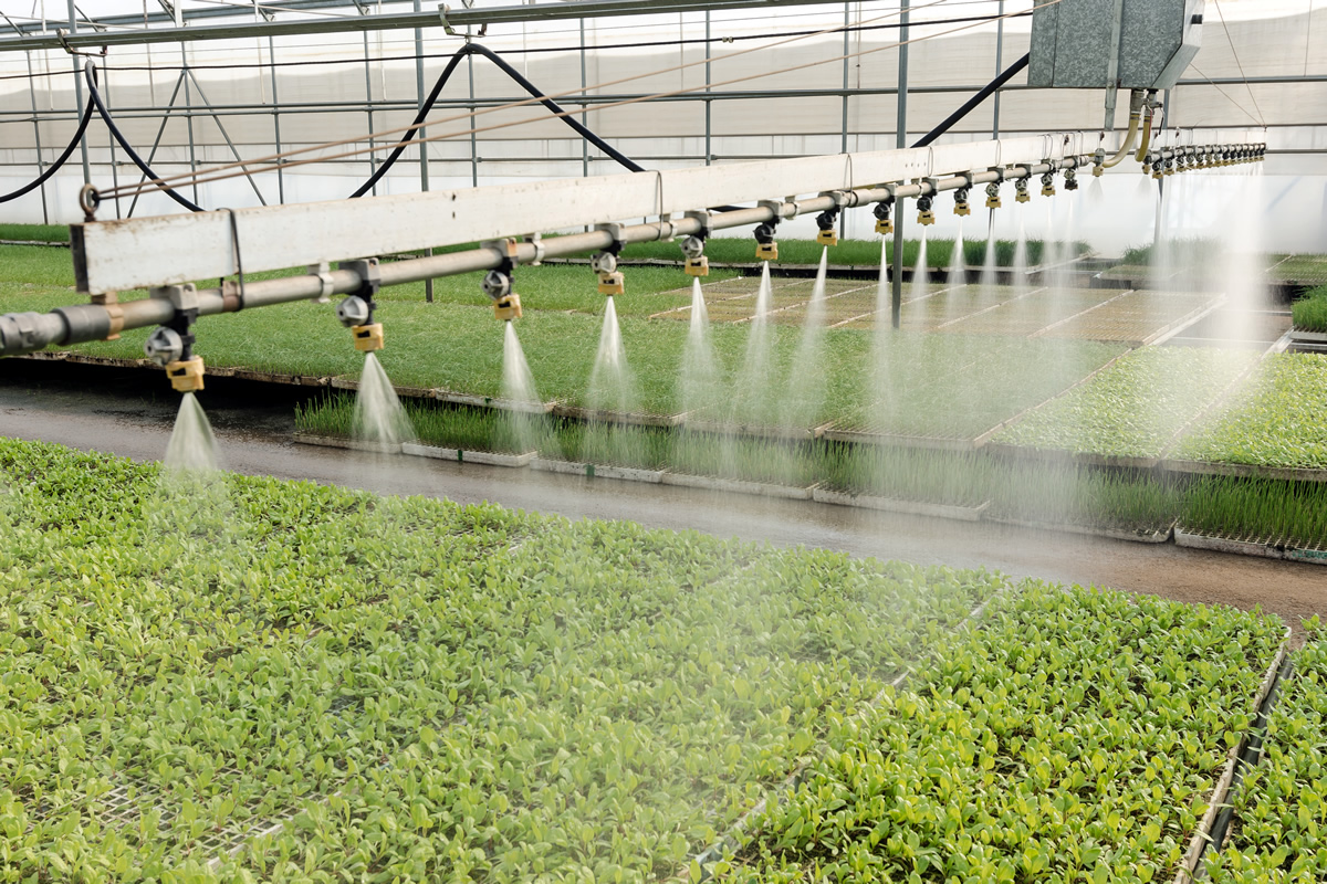 Los agricultores del Bajo Andarax exigen su agua para producir la próxima campaña