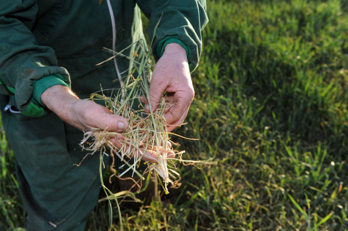 El Seguro Agrario indemniza con 400 millones de euros al campo en el primer semestre