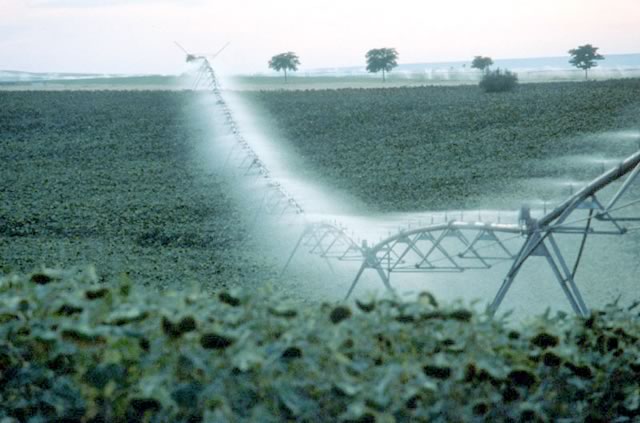 Agricultura abrirá la próxima semana dos convocatorias de ayudas para el  regadío andaluz