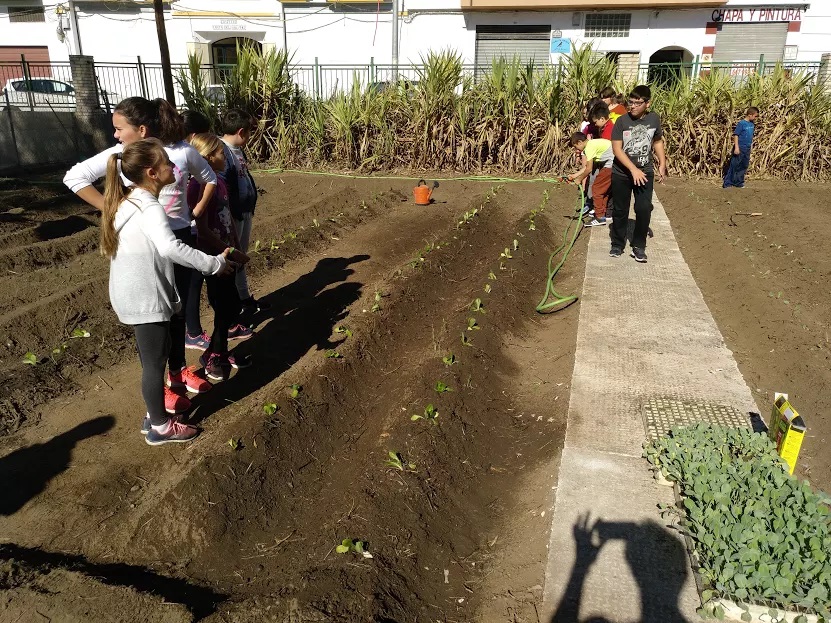 Labor agrícola, compostaje y alimentación sana se unen en un proyecto de huertos escolares