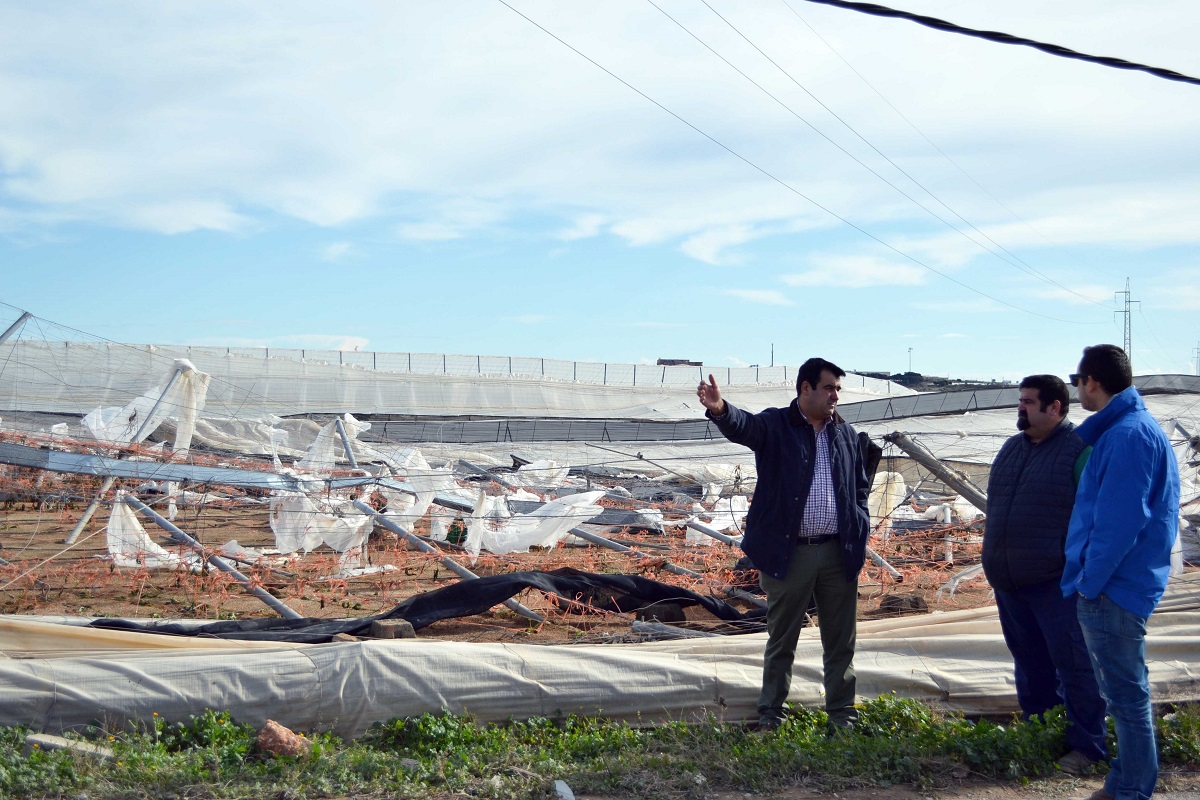 Junta y Gobierno central siguen sin concretar las medidas para los agricultores afectados por los tornados