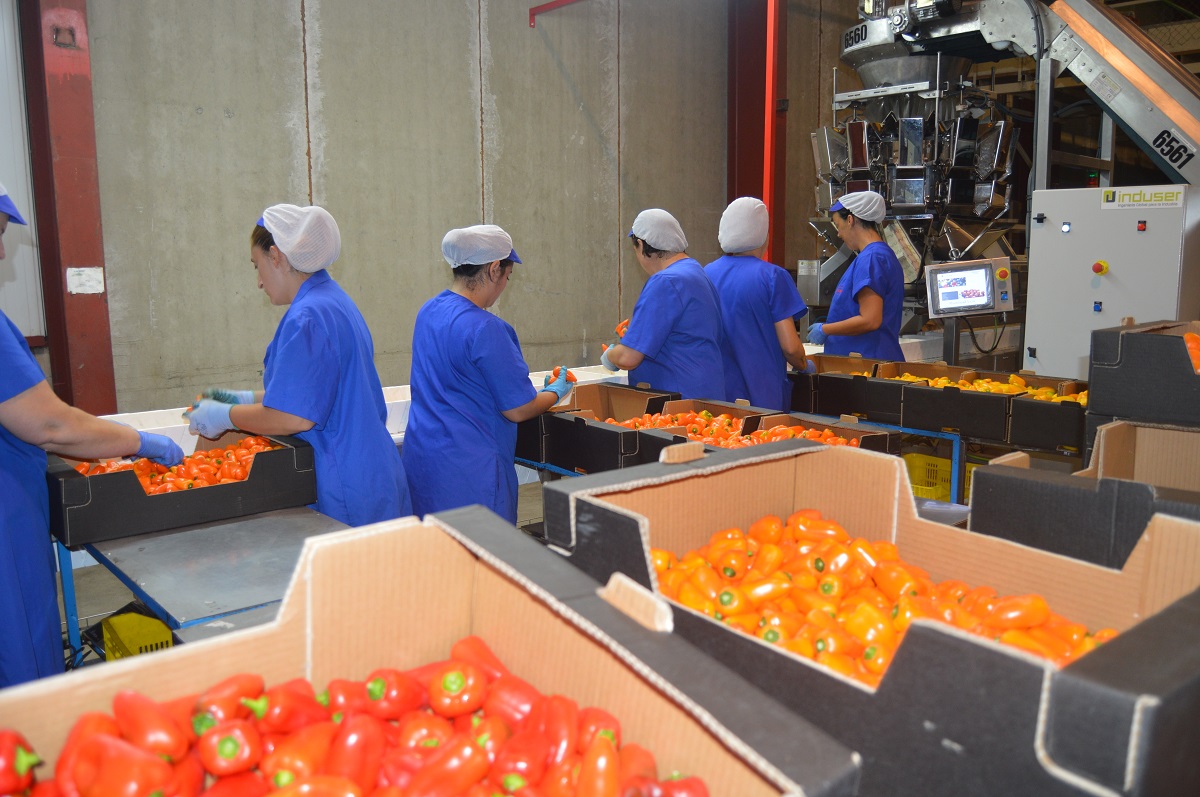 El valor de los productos hortofrutícolas exportados crece casi un 12% en Almería