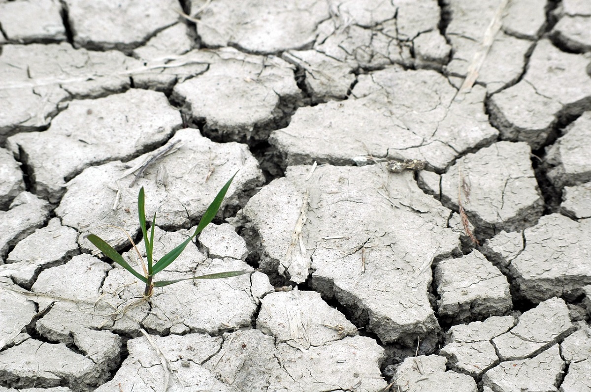 Unión de Uniones pide una Ley de Cambio Climático que cuente con los agricultores y ganaderos