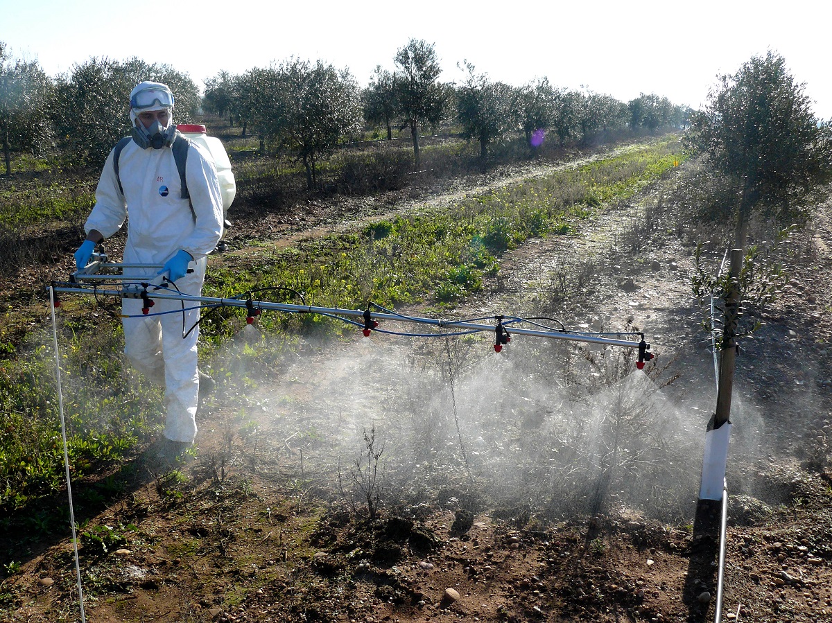 Agrocolor alcanza los 300 ensayos  fitosanitarios oficialmente