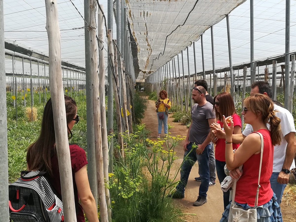 La Junta forma en producción ecológica a jóvenes con ayudas