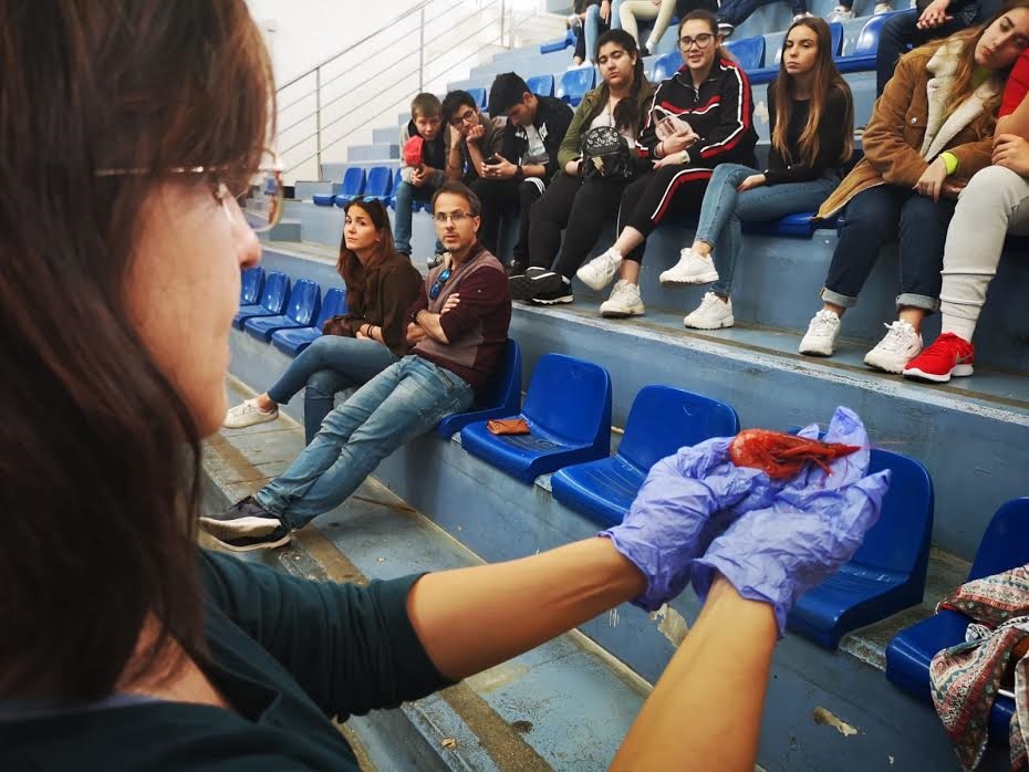 Estudiantes del Instituto Alborán  conocen el funcionamiento del Puerto y la Lonja del Pescado