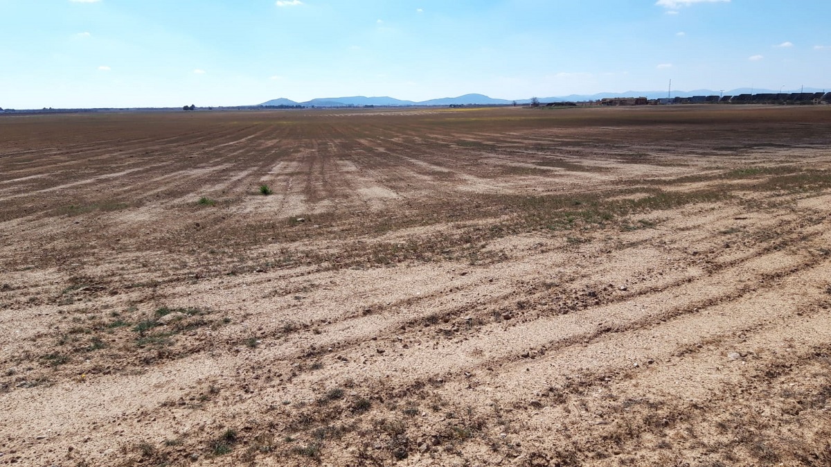 Crespo urge al Gobierno a activar medidas de emergencia que respalden a los agricultores y ganaderos afectados por la sequía