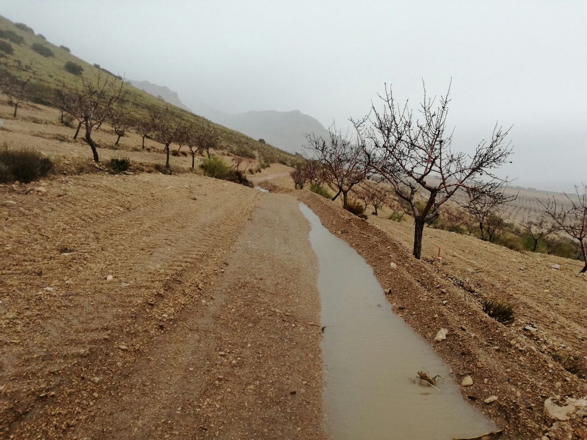 Regeneración del suelo y aprovechamiento del agua en las explotaciones agrarias