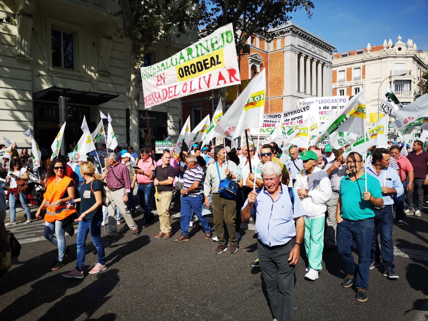 Más de 1.200 cooperativistas granadinos participan en la manifestación por el aceite de oliva en Madrid