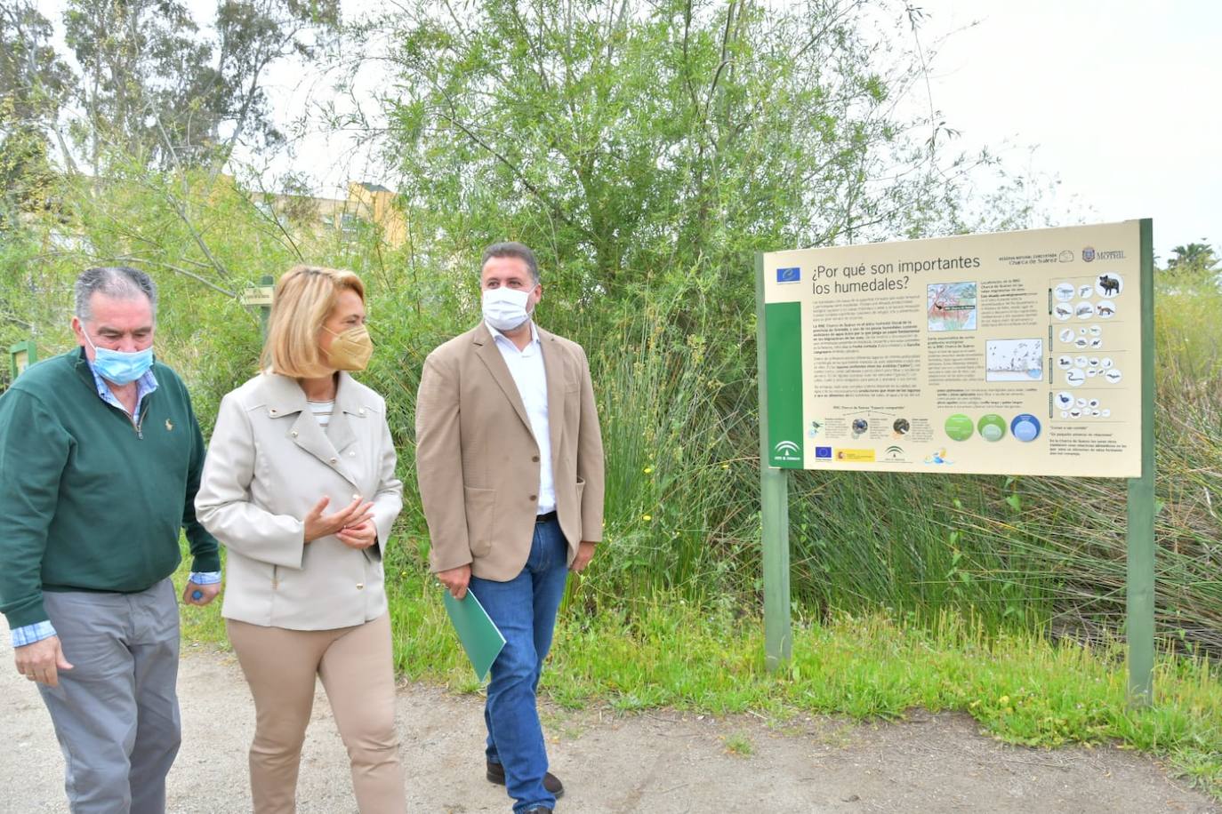 Agentes de Medio Ambiente censan 2574 aves acuáticas invernantes en 35 zonas húmedas de la provincia