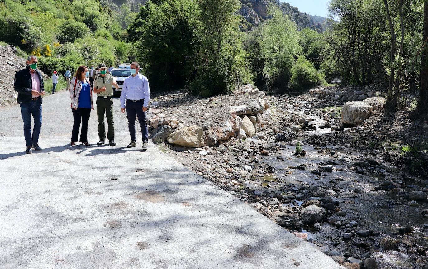 La Junta moviliza casi 10 millones de euros en actuaciones forestales en Sierra Nevada