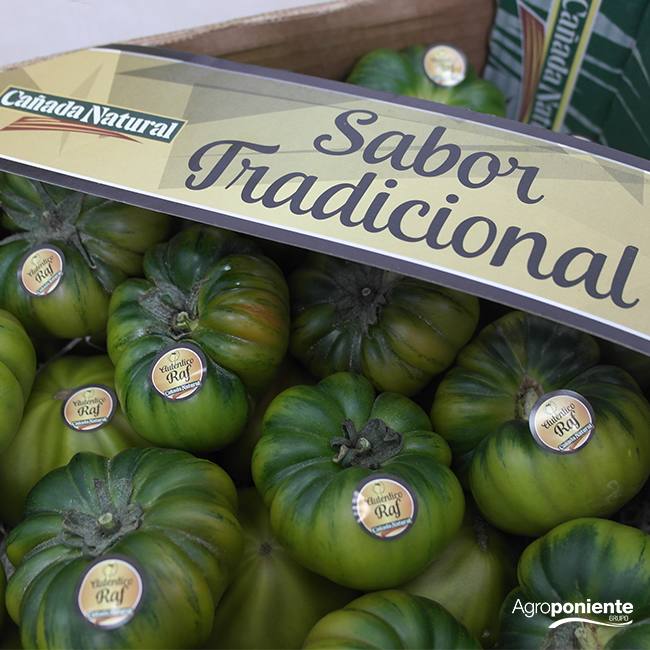 Agroponiente lucirá el mejor tomate del mundo, su Raf, en el Salón Gourmets de Madrid