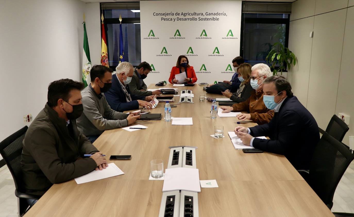 Andalucía presentará alegaciones a la versión inicial del Plan Estratégico Nacional de la PAC