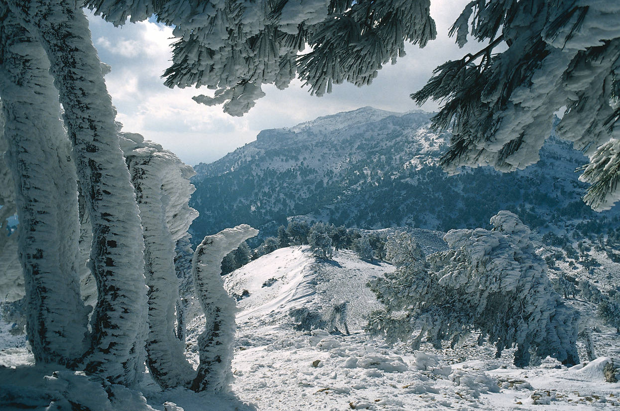 Sierra Nevada respalda el plan de inversiones de la Junta para 2022, que crece más de un 30% y alcanza los 10M€