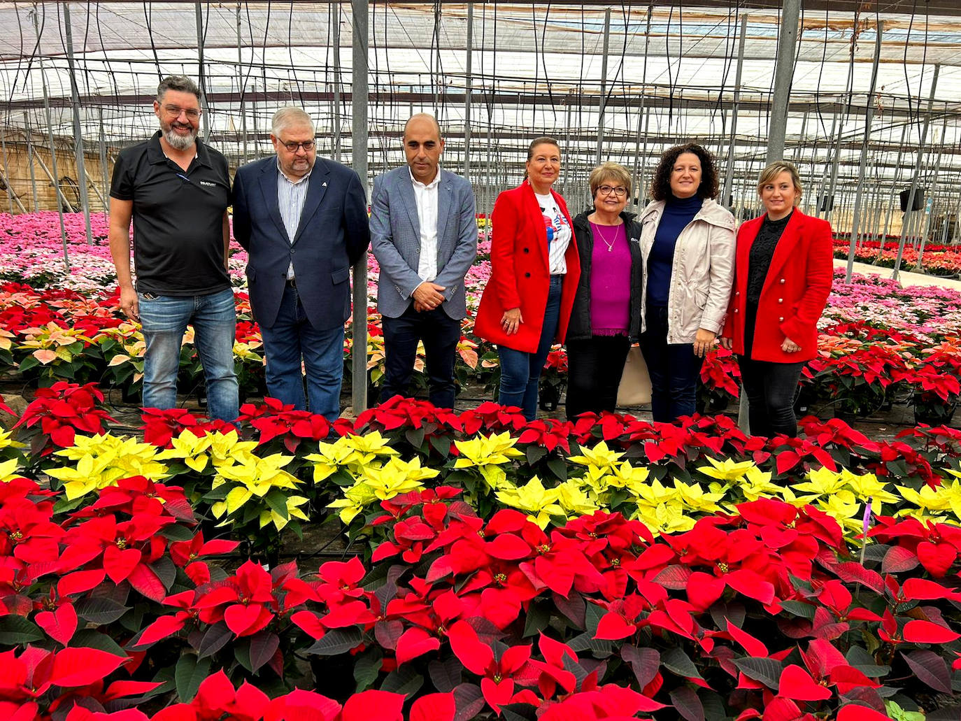 Almería produce 3,5 millones de Flores de Pascua que suponen el 33% del total nacional