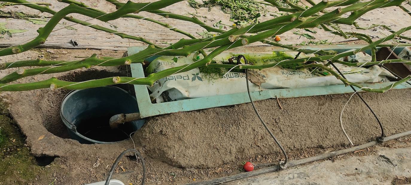 Un proyecto analiza el uso de abonos nitrogenados en cultivo bajo invernadero