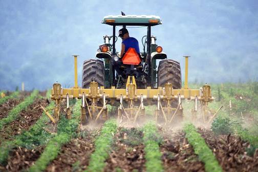 Maximizando la eficiencia con máquinas usadas para vegetales de campo abierto