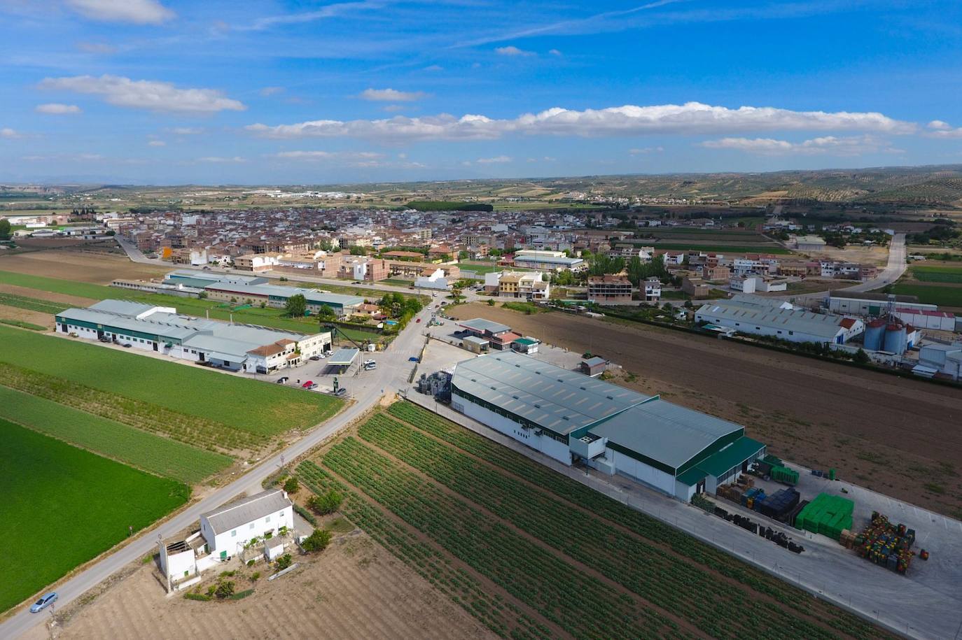 Las cooperativas Centro Sur, Espárrago de Granada y Espalorquiana culminan su fusión para liderar la producción de espárrago verde en Europa