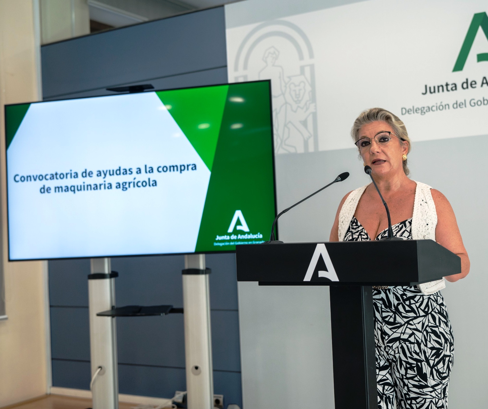 Carmen Lidia Reyes en el acto de presentación de las ayudas.