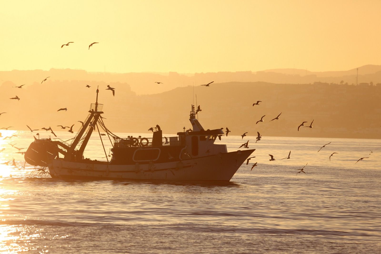 La cofradía de pescadores de Motril, TROPS o el Proyecto Life Agromitiga, entre los galardonados en los Premios ‘Agricultura y Pesca’ 2024