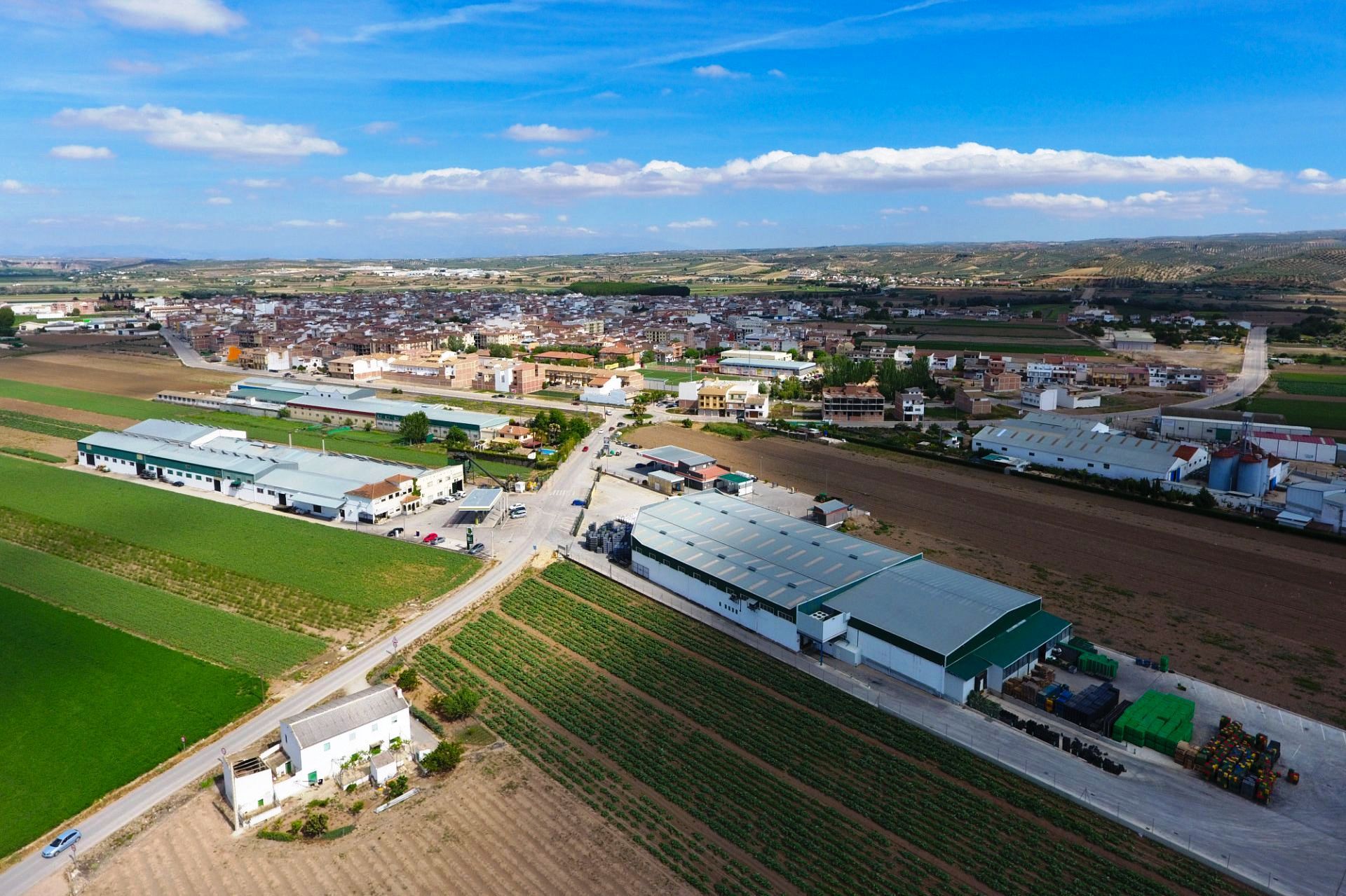 Instalaciones de la Cooperativa Centro Sur de Huétor Tájar, una de las tres que conforman la fusión.