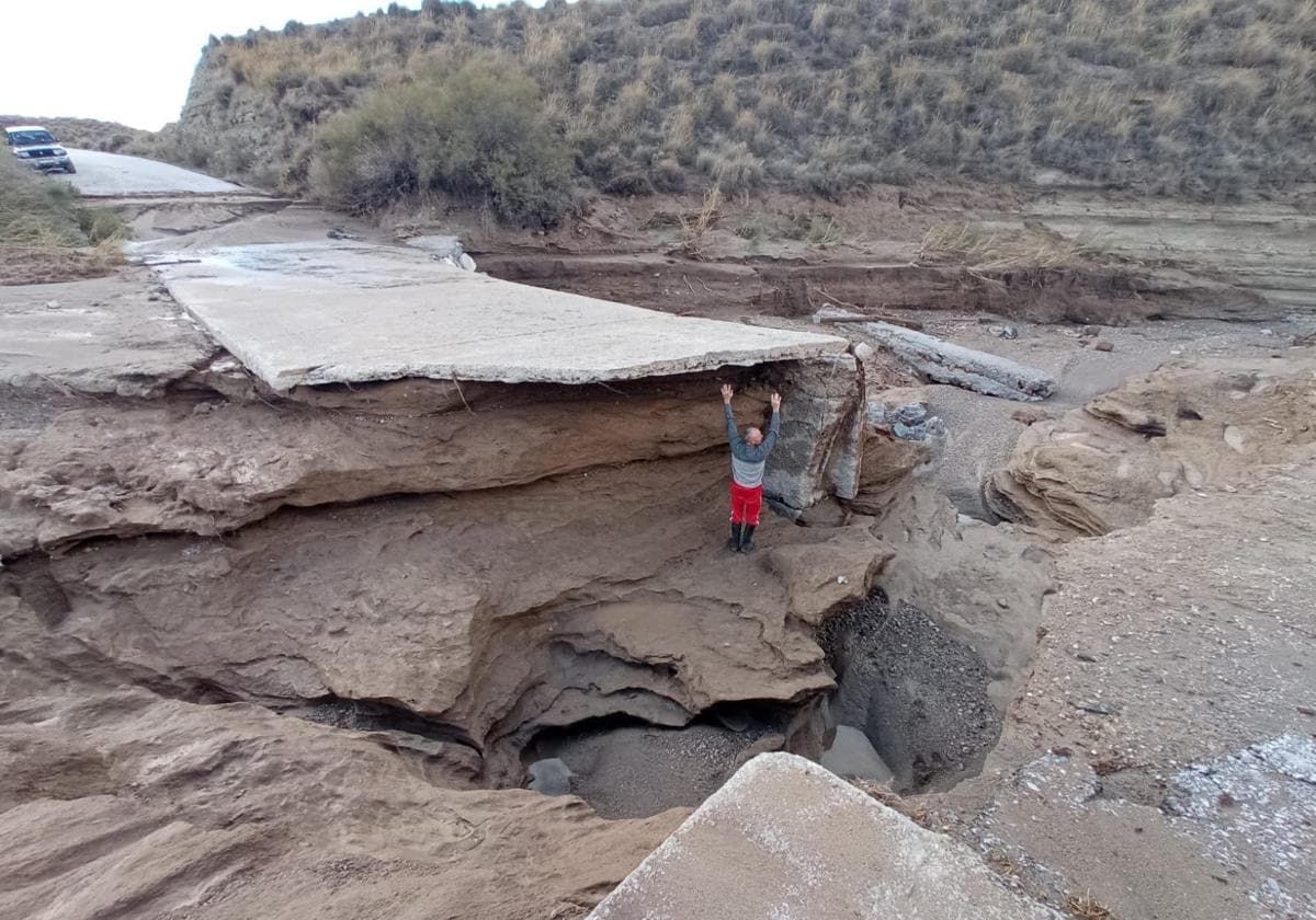 Más de 14.000 hectáreas de cultivos habrían quedado dañadas por la DANA en Almería, Cádiz, Granada y Málaga