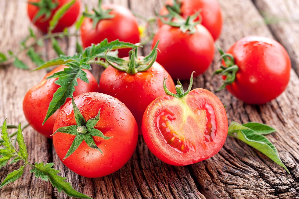 Cultivo de Tomates Paso a Paso: Desde la Semilla Hasta la Cosecha