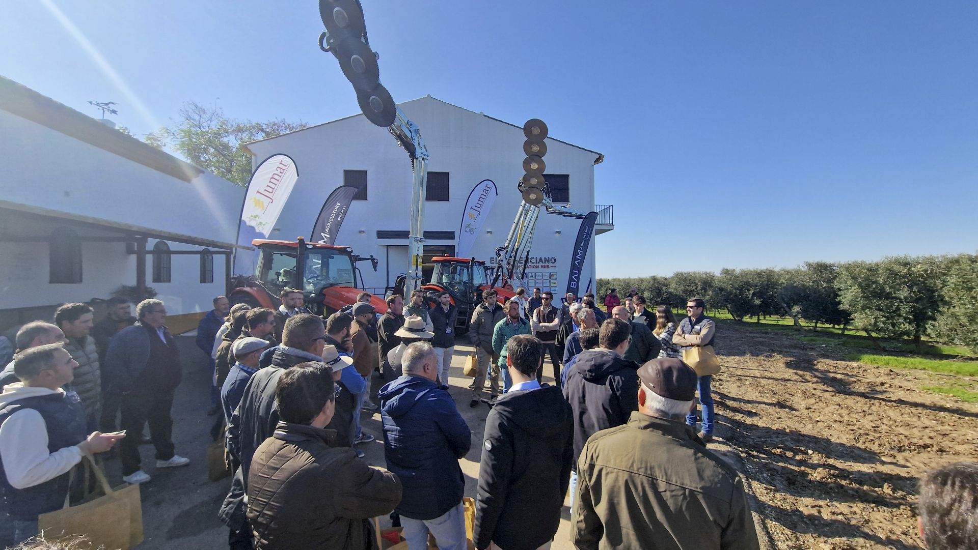 Poda mecanizada y adaptada a cada variedad: la clave para el futuro del olivar