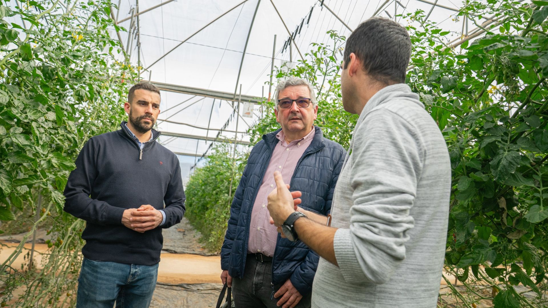 Inteligencia artificial al servicio de la agricultura sostenible: un proyecto mide la huella hídrica y de carbono en cultivos andaluces