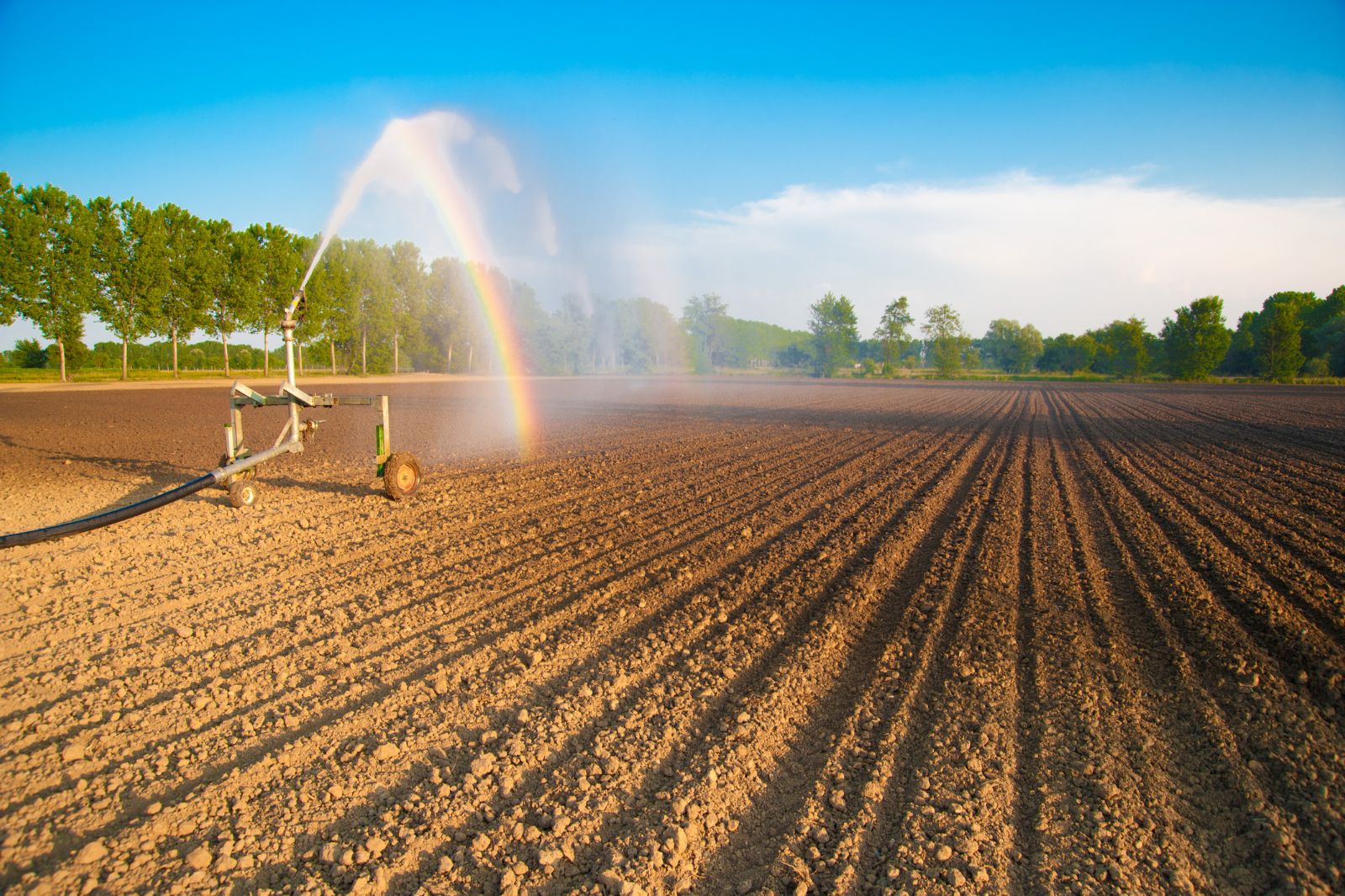 ¿Qué hacer si una bomba sumergible no saca agua?