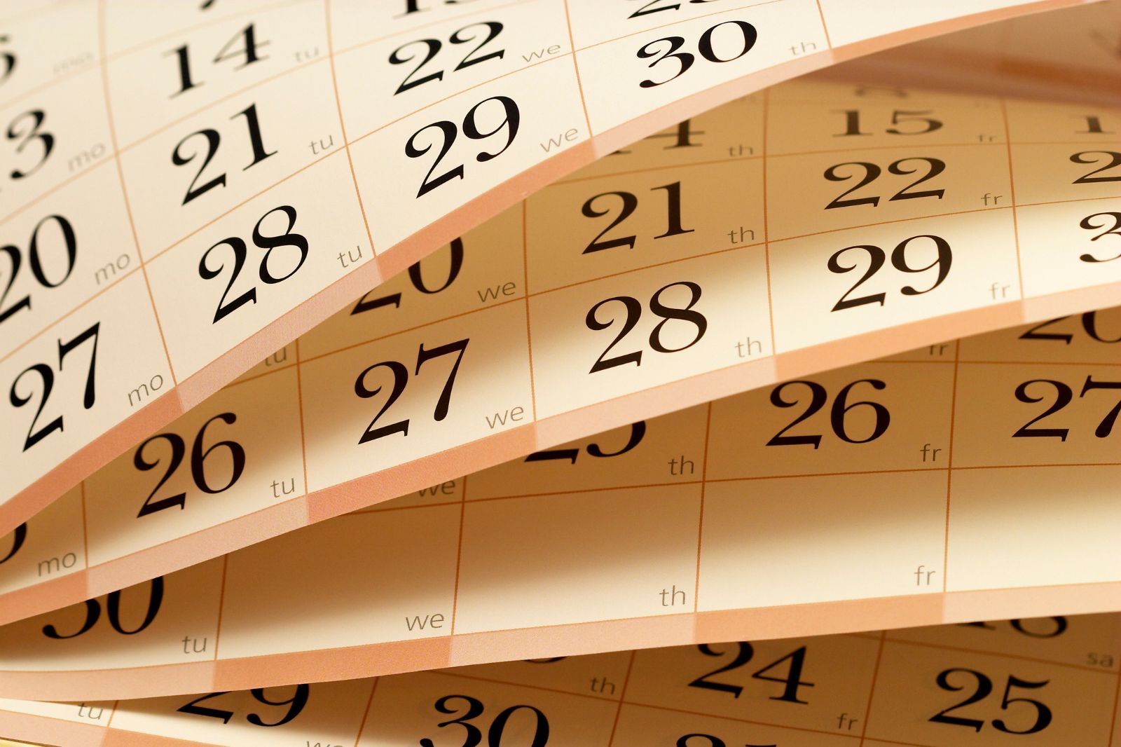 Calendario de siembras ordenado por fechas: planificación para cada mes del año