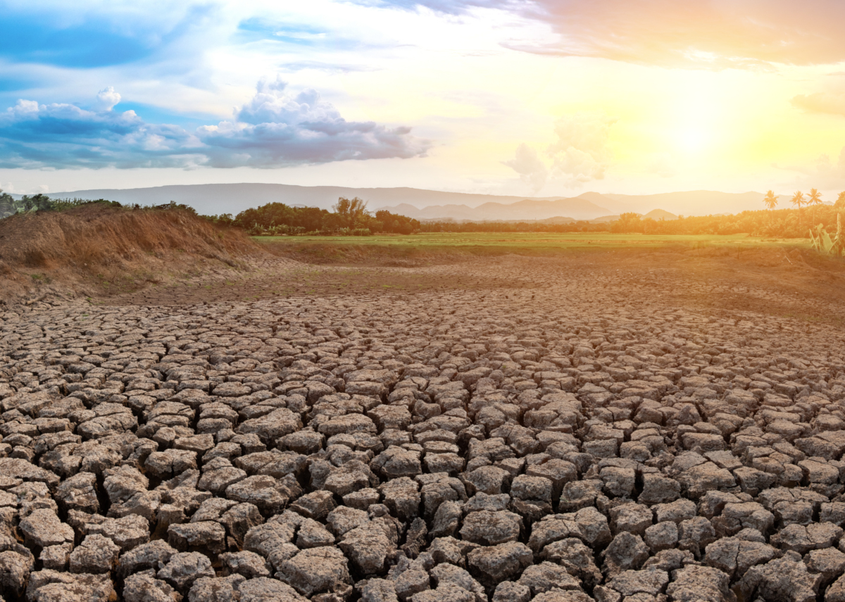 Sequía estructural en España: el desafío hídrico que amenaza la cuna de la Dieta Mediterránea