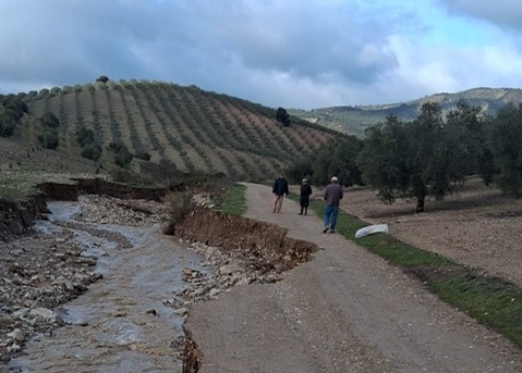 El temporal amenaza el inicio de la campaña del espárrago en Loja: 400 hectáreas incomunicadas