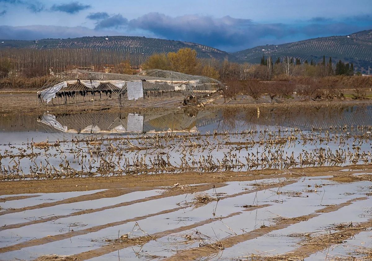 FAECA valora las ayudas del Gobierno, Junta y Diputación por los daños del temporal pero pide incluir las zonas excluidas